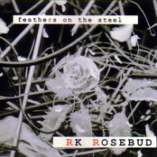 feathers on the steel