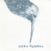 Ultra Dolphins
