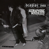 And On And On.../Agoraphobic Nosebleed Split LP