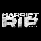 The Void Is Calling Me