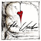 Cut Up Angels by The Used