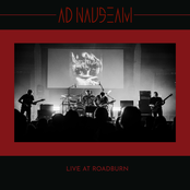 Live at Roadburn