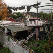 To Elliot in Remembrance of Wolf