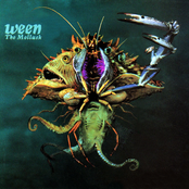 Ween: The Mollusk