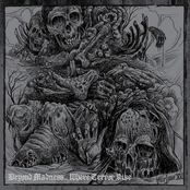 Beyond Madness... Where Terror Rise