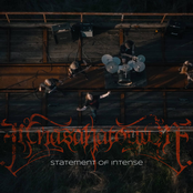 Statement Of Intense