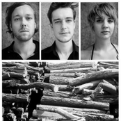 leaves leaves fall fall rain fall