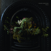 We Are a Ghost Now, You & I