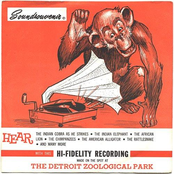 Soundsouvenir