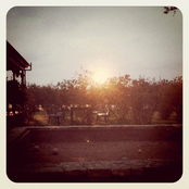 Weeding Through The Rubble