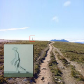 CONFIRMED FAKE ／／ DMT-441