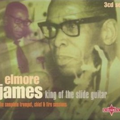 Go Back Home Again by Elmore James