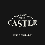 Bird of Sadness - Single
