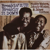 james cotton; johnny winter; muddy waters