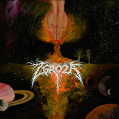 Życie to Zmysł o którym Zapomniano