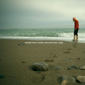 Sad and lonely seals