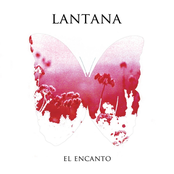 Ruido by Lantana