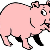 Chorume da Alma (entire version)