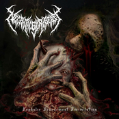 Cephalic Devourment Assimilation