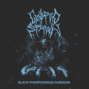 Black Phosphorous Dungeon - EP