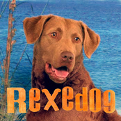 rexedog