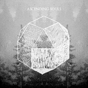 Ascending Souls