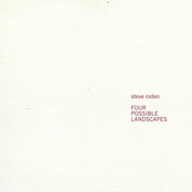 Four Possible Landscapes