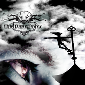 Сны Сбываются