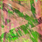 The Neil "Young Diamond" Armstrong Tape