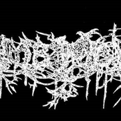 Tomb Mold