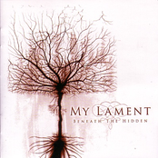 The Spirit And The Haze by My Lament