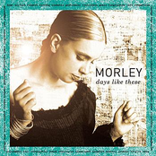 Just Like You by Morley