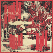 Em Teus Olhos Vejo Fendas