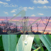 Soulbits