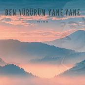 Ben Yürürüm Yane Yane