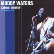 Goin' Down Slow by Muddy Waters