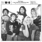 W-9 (demo)