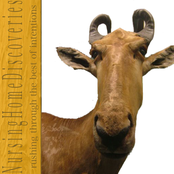 Rushing Through the Best of Intentions