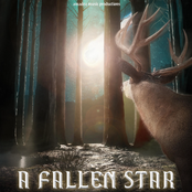 A Fallen Star