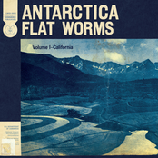 Flat Worms: Antarctica