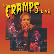 Wrong Way Ticket by The Cramps