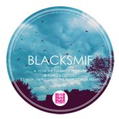 How The Fly Saved The River