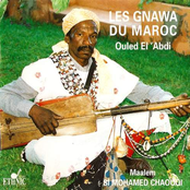 Les Gnawa Du Maroc - Ouled El Abdi