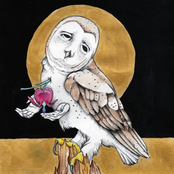 Farewell Transmission / The Dark Don’t Hide It