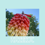 hazella.
