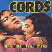 Singing Bird by Cords