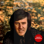 Love Is A Beautiful Song