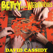 David Cassidy Single