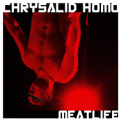 Meatlife