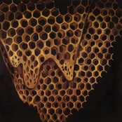 Telefon Tel Aviv: Map of What Is Effortless